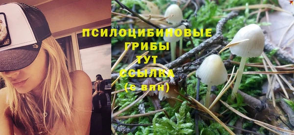 spice Арсеньев