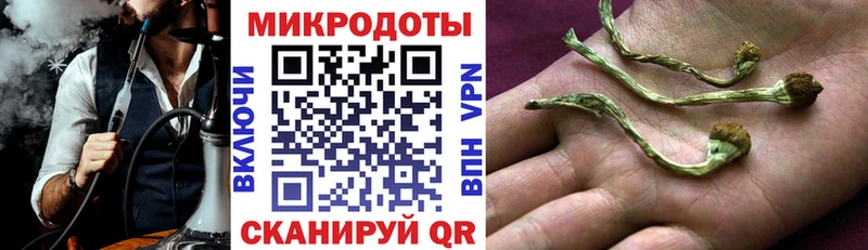 Псилоцибиновые грибы ЛСД  сайты даркнета наркотические препараты  Новодвинск 